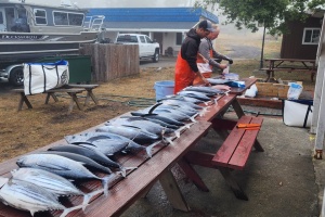 tuna-fishermen