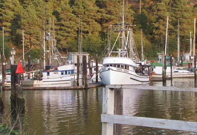 charter boats