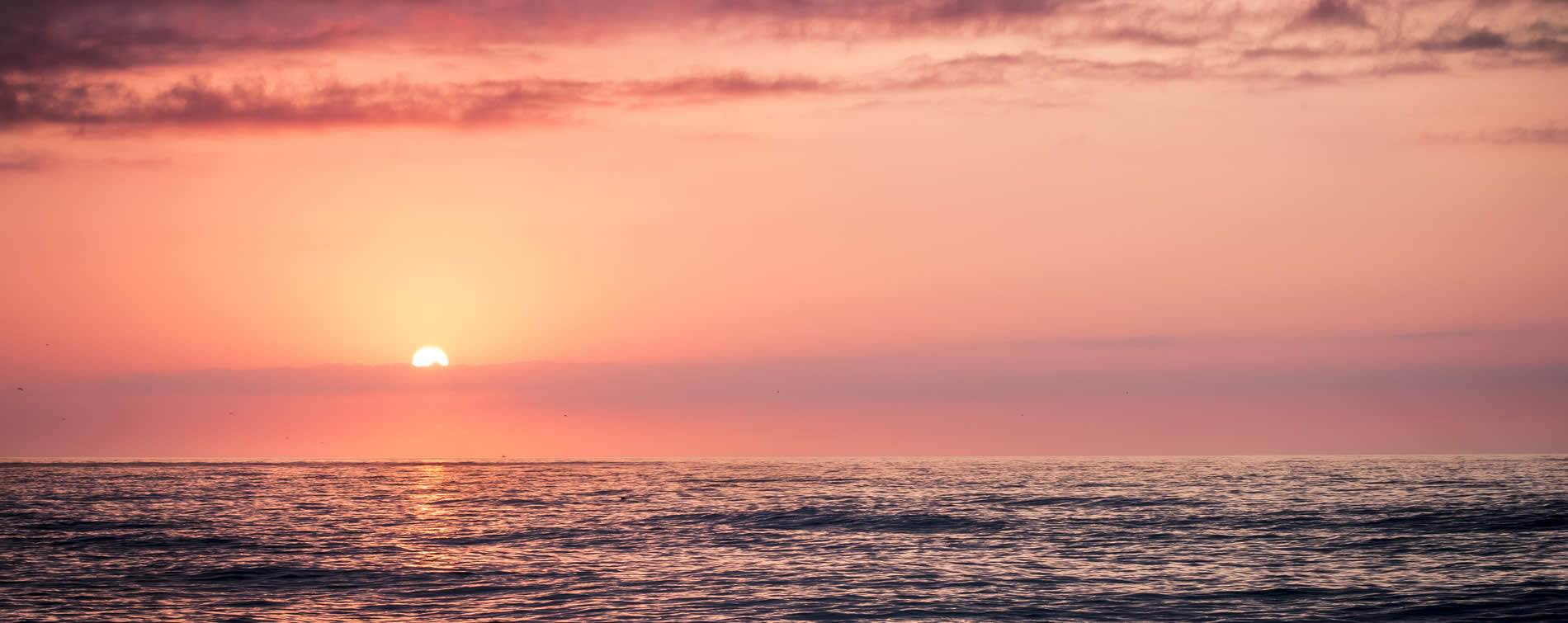 mendocino coast sunset